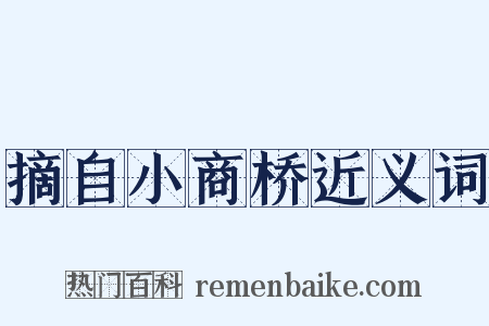 摘自小商桥近义词是什么意思的图片